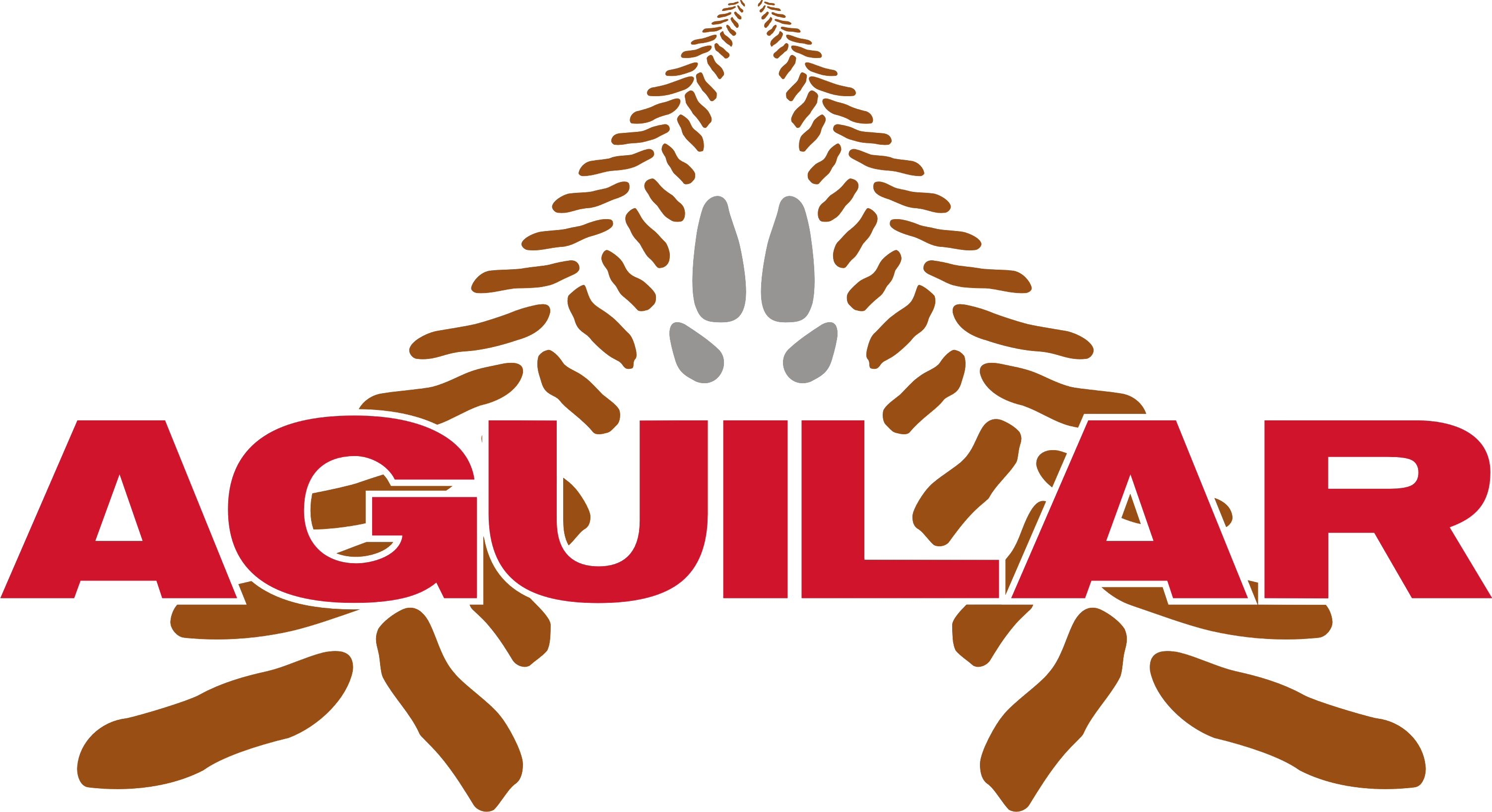 Grupo Aguilar