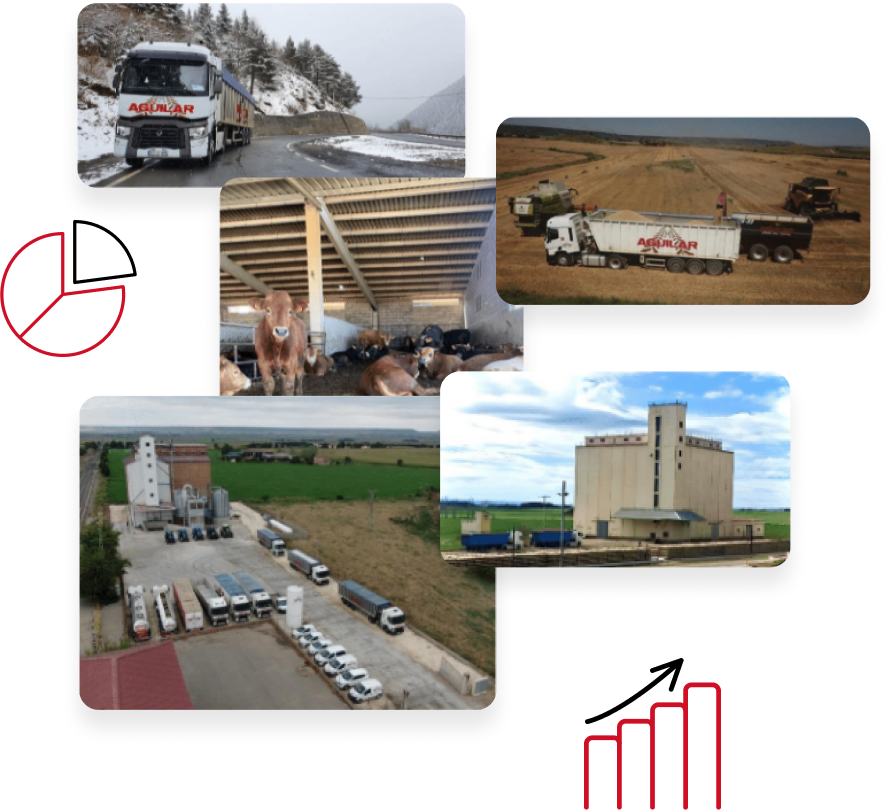 collage de Agricultura y ganadería