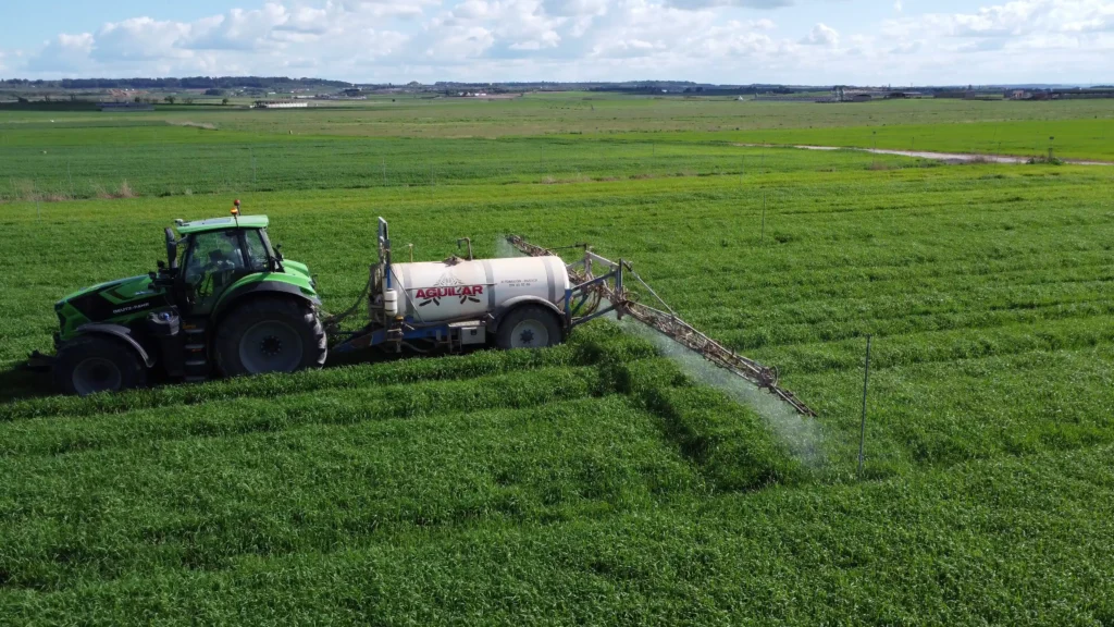 vlcsnap-2025-08-07-08h36m53s861