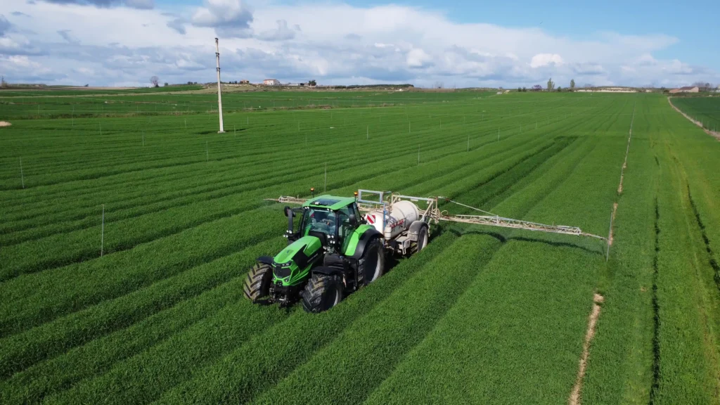 vlcsnap-2025-08-07-08h41m14s571